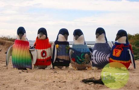 pulls-pingouins