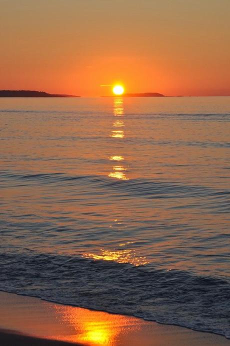 Offrir une carotte à ses enfants