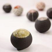 Actu déco : Exposition « Cent Motifs »