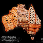 GASTRONOMIE : Food maps