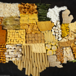 GASTRONOMIE : Food maps