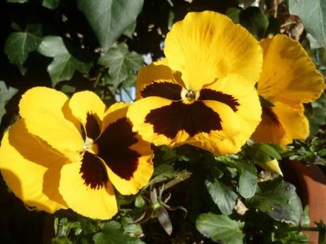 saison,printemps,soleil,société,photos,écriture,loisirs,souvenirs,balades,tourisme