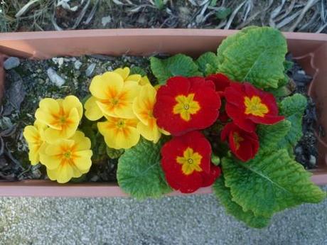 saison,printemps,soleil,société,photos,écriture,loisirs,souvenirs,balades,tourisme