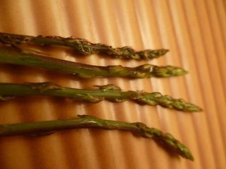 saison,printemps,soleil,société,photos,écriture,loisirs,souvenirs,balades,tourisme