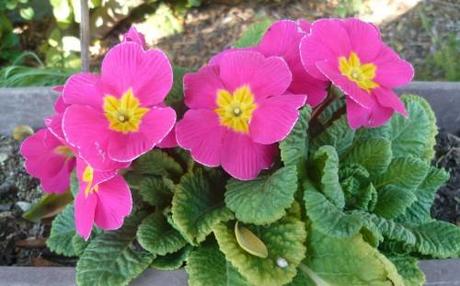 saison,printemps,soleil,société,photos,écriture,loisirs,souvenirs,balades,tourisme