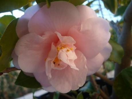 saison,printemps,soleil,société,photos,écriture,loisirs,souvenirs,balades,tourisme