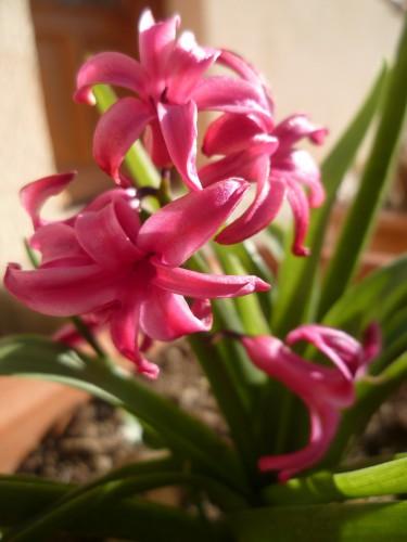 saison,printemps,soleil,société,photos,écriture,loisirs,souvenirs,balades,tourisme