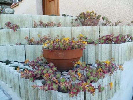 saison,printemps,soleil,société,photos,écriture,loisirs,souvenirs,balades,tourisme