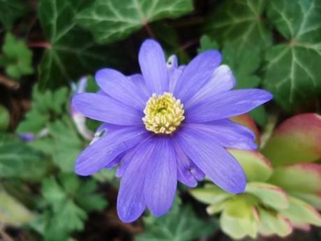 saison,printemps,soleil,société,photos,écriture,loisirs,souvenirs,balades,tourisme