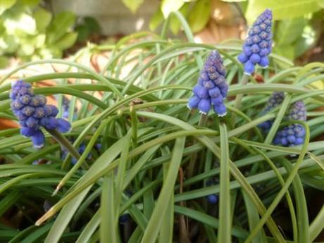 saison,printemps,soleil,société,photos,écriture,loisirs,souvenirs,balades,tourisme