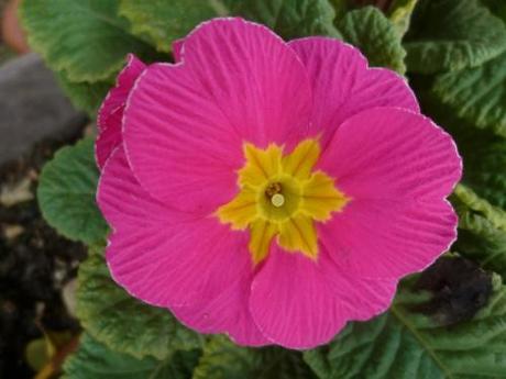 saison,printemps,soleil,société,photos,écriture,loisirs,souvenirs,balades,tourisme