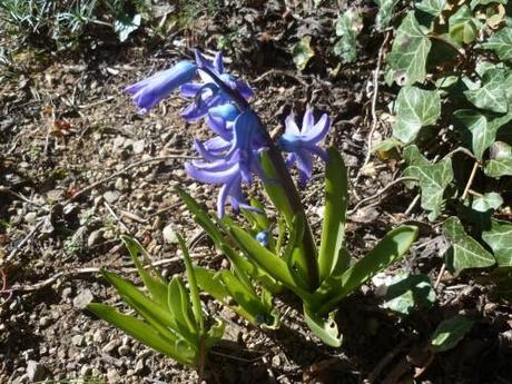 saison,printemps,soleil,société,photos,écriture,loisirs,souvenirs,balades,tourisme