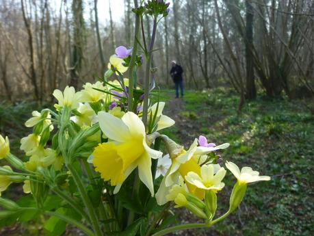 C'est le printemps !!!