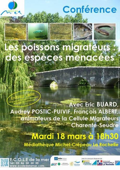 CONFERENCE médiathèque Michel-Crépeau La Rochelle - Mardi 18 mars 2014 à 18h30 Les poissons migrateurs : des espèces menacées.