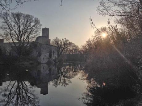 Jolis bords du Rhône (et moins jolies choses) Jolis bords du Rhône (et moins jolies choses)