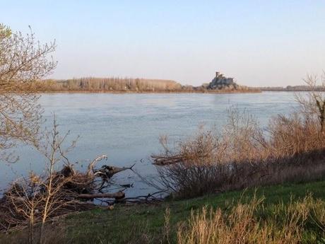 Jolis bords du Rhône (et moins jolies choses) Jolis bords du Rhône (et moins jolies choses)