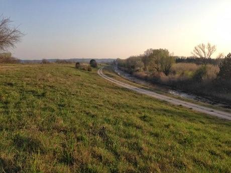 Jolis bords du Rhône (et moins jolies choses) Jolis bords du Rhône (et moins jolies choses)