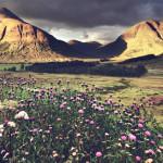 PHOTO : “Braveheart’s Legacy”