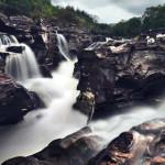 PHOTO : “Braveheart’s Legacy”