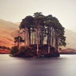 PHOTO : “Braveheart’s Legacy”