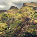 PHOTO : “Braveheart’s Legacy”