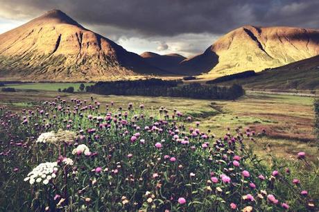 Bravehearts-Legacy-3