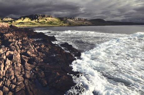 Bravehearts-Legacy-9