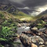 PHOTO : “Braveheart’s Legacy”