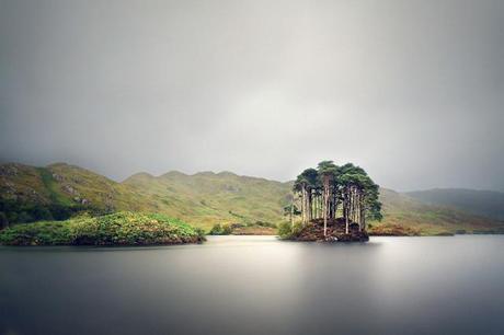 Bravehearts-Legacy-2