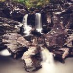 PHOTO : “Braveheart’s Legacy”