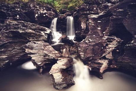 Bravehearts-Legacy-6