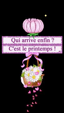 Image and video hosting by TinyPic