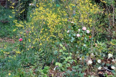 2 veneux 15 mars 2014 002.jpg