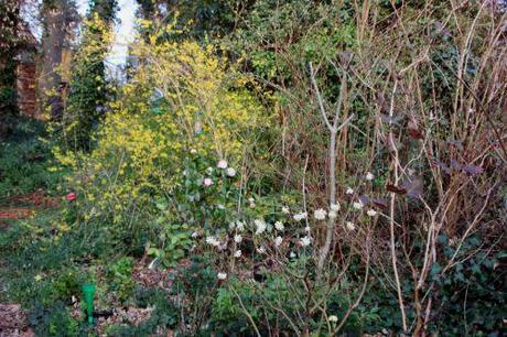 1 veneux 14 mars 2014 002.jpg