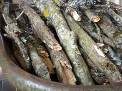 carnet,bois sec,frêne,grisaille,espoir,politique,élections municipales,résignation,morosité,tristesse,brouette,blog littéraire de christian cottet-emard