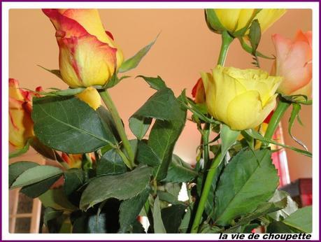 ma table roses fraiches-12