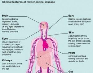 PMA: Les États-Unis à l'heure de la manipulation mitochondriale? – Science