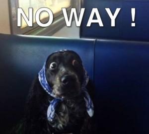 Pollution parisienne ? N’oubliez pas le guide ! no-way