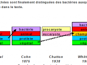 TOUT SERAIT PHYSICO-CHIMIE CHEZ VIVANT suite 16-L'apparition symbolique