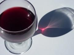 carnet,journal,prairie journal,note,chronique,blog littéraire de christian cottet-emard,arbustes à papillons,plante rudérale,friche,quartier,ville,village,sachets,plastique,lune,photo numérique,appareils numériques,élections municipales,équipement,développement,économie,finance,tourisme,vivre ensemble,politique,table de jardin,soleil,lumière,sandwich,vin,cigare