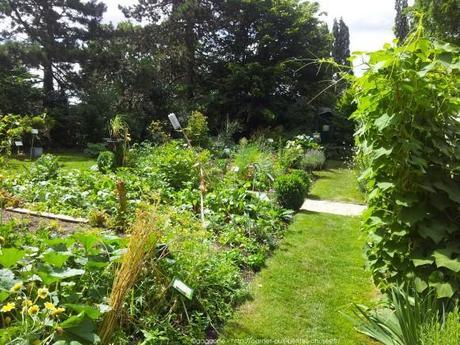 Pénétrer dans le jardin insolite au coeur du Parc Floral (Paris 12) jardin-insolite-parc-floral44_gagaone