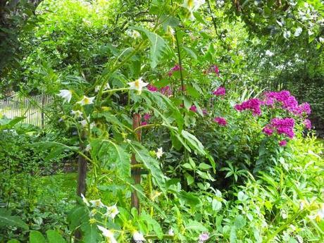 Pénétrer dans le jardin insolite au coeur du Parc Floral (Paris 12) jardin-insolite-parc-floral6_gagaone