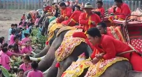 Thaïlande: Le 12-03, le jour des éléphants (2014) HD