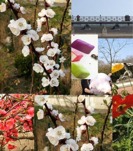 Mélodyeux ! Tête d'or