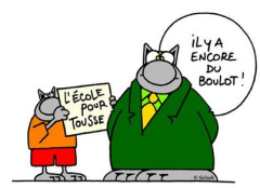 orthographe le chat