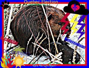 abolir-partis-politiques-elections-quebec-2014
