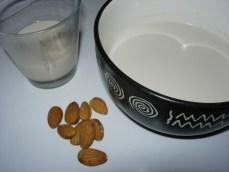 lait amande 