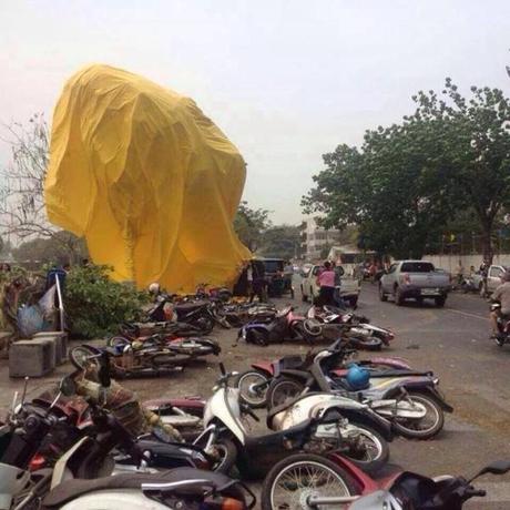 1482775 216261861906286 1195367590 n