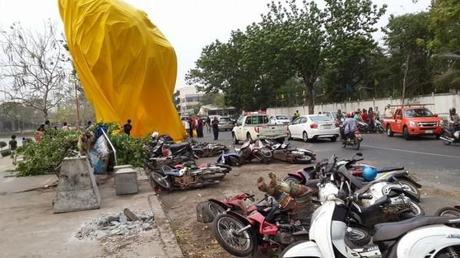 1901413 591542160923476 26241996 n