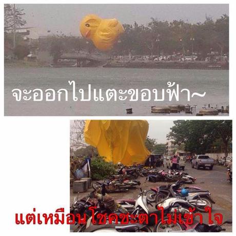 Udon-Thani: Mort du canard de la paix [HD]